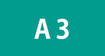 A3