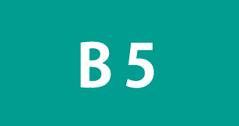 B5