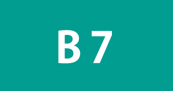 B7