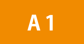 A1