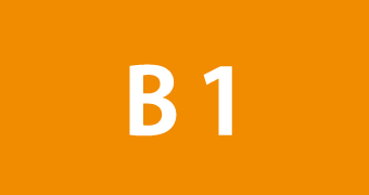 B1