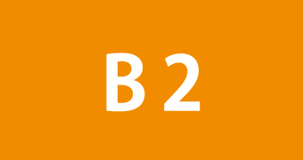 B2