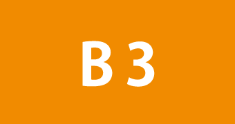 B3